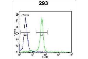 RRS1 Antibody (C-term) (ABIN650939 and ABIN2840003) flow cytometric analysis of 293 cells (right histogram) compared to a negative control cell (left histogram). (RRS1 antibody  (C-Term))