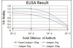 ELISA image for anti-Teratocarcinoma-Derived Growth Factor 1 (TDGF1) antibody (ABIN1846225) (TDGF1 antibody)