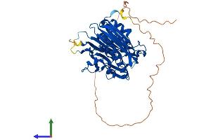 AlphaFold protein structure predicition of Mouse Recombinant Noct Protein, UniprotID O35710 (CCRN4L Protein (AA 1-429) (His tag))