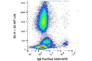 Surface staining of IgE on human peripheral blood cells with anti-IgE (4H10) purified, GAM-APC. (Mouse anti-Human IgE Antibody)
