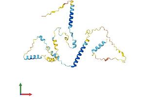 AlphaFold protein structure predicition of Human Recombinant C9orf78 Protein, UniprotID Q9NZ63