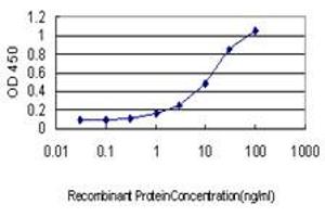 Detection limit for recombinant GST tagged BGLAP is approximately 0. (Osteocalcin antibody  (AA 52-100))