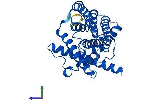 Protein Structure (PS) image for Mitochondrially Encoded NADH Dehydrogenase 1 (MT-ND1) (AA 1-318) protein (His tag) (ABIN7562730)