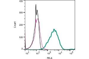 Cell surface detection of Tetraspanin 18 by indirect flow cytometry in live intact mouse P815 mastocytoma cell line: + goat-anti-rabbit-PE. (Tetraspanin 18 antibody  (Extracellular))