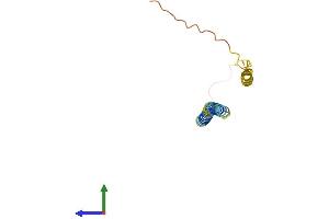 AlphaFold protein structure predicition of Human Recombinant PXT1 Protein, UniprotID Q8NFP0 (PXT1 Protein (AA 1-134) (His tag))