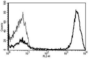 Flow Cytometry (FACS) image for anti-CD3 (CD3) antibody (PE) (ABIN1106247) (CD3 antibody  (PE))