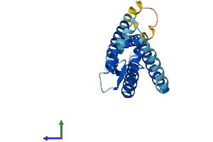 AlphaFold protein structure predicition of Human Recombinant TSPAN8 Protein, UniprotID P19075 (Tspan-8 Protein (AA 1-237) (His tag))