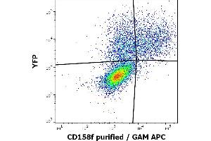 Flow cytometry surface staining pattern of KIR2DL5A (CD158f) transfected HEK-293 cells co-transfected with YFP coding plasmid using anti-human CD158f (UP-R1) purified antibody (concentration in sample 4 μg/mL, GAM APC).