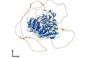 Protein Structure (PS) image for SEC24 Family, Member A (SEC24A) (AA 1-1093) protein (His tag) (ABIN7555371)