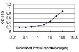 Detection limit for recombinant GST tagged TEK is approximately 0. (TEK antibody  (AA 701-800))