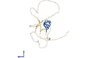 AlphaFold protein structure predicition of Human Recombinant RBFOX2 Protein, UniprotID O43251
