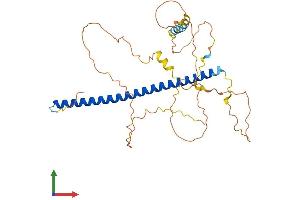 AlphaFold protein structure predicition of Human Recombinant JUNB Protein, UniprotID P17275 (JunB Protein (AA 1-347) (His tag))