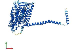 AlphaFold protein structure predicition of Mouse Recombinant Mtnd5 Protein, UniprotID P03921 (MT-ND5 Protein (AA 1-607) (His tag))