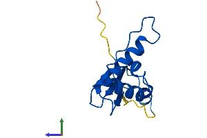 AlphaFold protein structure predicition of Human Recombinant ELOC Protein, UniprotID Q15369 (TCEB1 Protein (AA 1-112) (His tag))