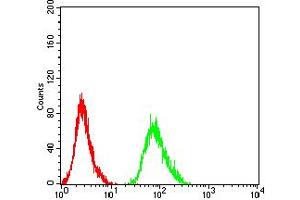Flow Cytometry (FACS) image for anti-Adrenergic, beta-2-, Receptor, Surface (ADRB2) (AA 302-413) antibody (ABIN5911929) (beta 2 Adrenergic Receptor antibody  (AA 302-413))