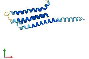 AlphaFold protein structure predicition of Mouse Recombinant Alox5ap Protein, UniprotID P30355 (ALOX5AP Protein (AA 1-161) (His tag))