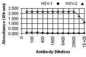 ELISA image for anti-Herpes Simplex Virus Type 2, Glycoprotein G (HSV2 gG) antibody (ABIN265564)