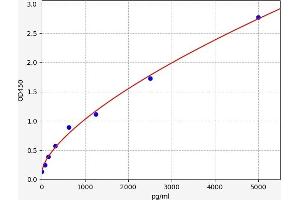 PGK1 ELISA Kit