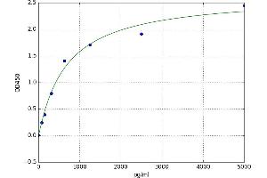 A typical standard curve