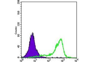 Flow cytometric analysis of A431 cells using SOD1 mouse mAb (green) and negative control (purple). (SOD1 antibody)