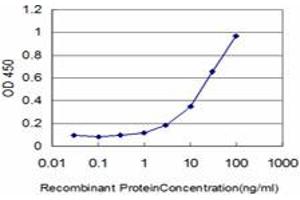 Detection limit for recombinant GST tagged CRX is approximately 1ng/ml as a capture antibody. (CRX antibody  (AA 1-300))