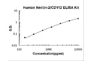 Poliovirus Receptor-Related 2 (Herpesvirus Entry Mediator B) (PVRL2) ELISA Kit