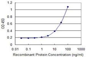 Detection limit for recombinant GST tagged KEL is 1 ng/ml as a capture antibody. (KEL antibody  (AA 633-732))