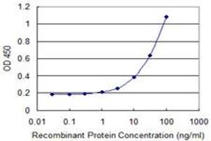 Detection limit for recombinant GST tagged KEL is 1 ng/ml as a capture antibody. (KEL antibody  (AA 633-732))