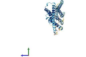 AlphaFold protein structure predicition of Mouse Recombinant Gpbar1 Protein, UniprotID Q80SS6 (GPBAR1 Protein (AA 1-329) (His tag))