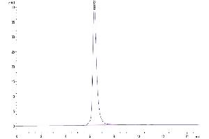 The purity of Human MMP-9 is greater than 95 % as determined by SEC-HPLC. (MMP 9 Protein (His-Avi Tag))