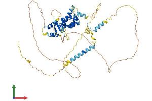 AlphaFold protein structure predicition of Mouse Recombinant Nol4 Protein, UniprotID P60954