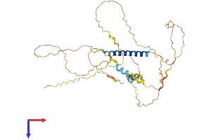 AlphaFold protein structure predicition of Human Recombinant C8orf58 Protein, UniprotID Q8NAV2