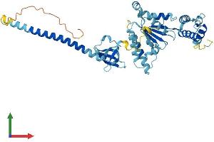 AlphaFold protein structure predicition of Mouse Recombinant Psmc4 Protein, UniprotID P54775