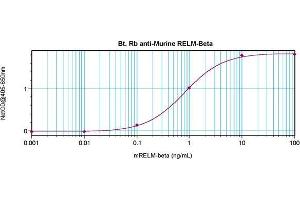 Direct ELISA using RELM beta antibody