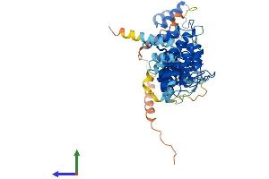 AlphaFold protein structure predicition of Mouse Recombinant Ankdd1b Protein, UniprotID Q14DN9