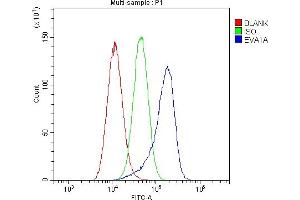 Flow Cytometry analysis of A549 cells using anti-EVA1A antibody (ABIN6719564). (TMEM166 antibody)