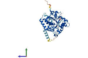 Protein Structure (PS) image for ST8 alpha-N-Acetyl-Neuraminide alpha-2,8-Sialyltransferase 1 (ST8SIA1) (AA 1-356) protein (His tag) (ABIN7546021)