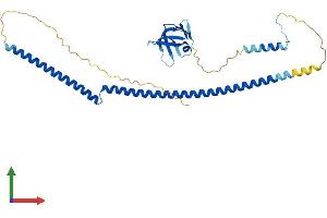 Protein Structure (PS) image for Breast Cancer Metastasis-Suppressor 1-Like (BRMS1L) (AA 1-323) protein (His tag) (ABIN7557128)