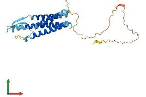 AlphaFold protein structure predicition of Mouse Recombinant Tmem225 Protein, UniprotID Q9D9S2 (TMEM225 Protein (AA 1-230) (His tag))