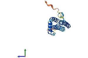 Protein Structure (PS) image for Mitochondrial Fission Process 1 (Mtfp1) (AA 1-166) protein (His tag) (ABIN7549551)