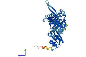 Protein Structure (PS) image for Pelota Homolog (PELO) (AA 1-385) protein (His tag) (ABIN7550678)