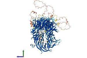 AlphaFold protein structure predicition of Human Recombinant CPSF1 Protein, UniprotID Q10570 (CPSF1 Protein (AA 1-1443) (His tag))