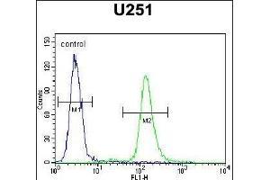 AC Antibody (N-term) (ABIN651370 and ABIN2840207) flow cytometric analysis of  cells (right histogram) compared to a negative control cell (left histogram). (Acap3 antibody  (N-Term))