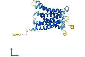 AlphaFold protein structure predicition of Mouse Recombinant Mrgpra4 Protein, UniprotID Q91WW2 (Mrgpra4 Protein (AA 1-313) (His tag))