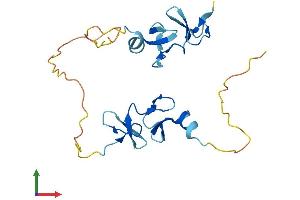 Protein Structure (PS) image for Cysteine-Rich Protein 2 (CRIP2) (AA 1-208) protein (His tag) (ABIN7561355)