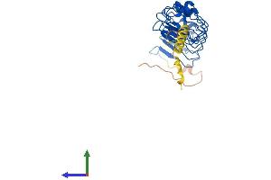 AlphaFold protein structure predicition of Human Recombinant LRRC10 Protein, UniprotID Q5BKY1 (LRRC10 Protein (AA 1-277) (His tag))