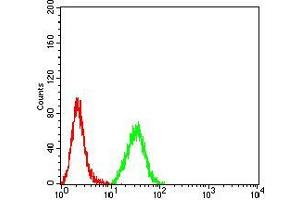 Flow cytometric analysis of Hela cells using MUC5AC mouse mAb (green) and negative control (red). (MUC5AC antibody  (AA 5528-5627))