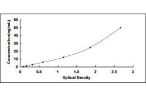 Typical standard curve (OAS1A ELISA Kit)