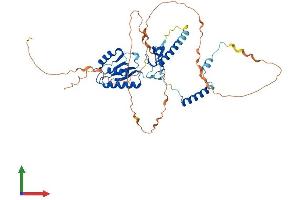 AlphaFold protein structure predicition of Human Recombinant RNF25 Protein, UniprotID Q96BH1 (RNF25 Protein (AA 1-459) (His tag))