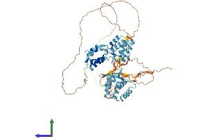 AlphaFold protein structure predicition of Mouse Recombinant Gm12695 Protein, UniprotID A2AGB2 (Gm12695 Protein (AA 1-545) (His tag))